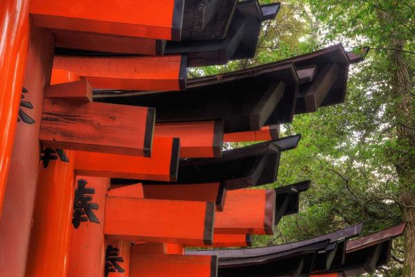 Flaherty, Dennis 아티스트의 Japan, Kyoto, Fushimi-Inari-Taisha Torii Gates작품입니다.